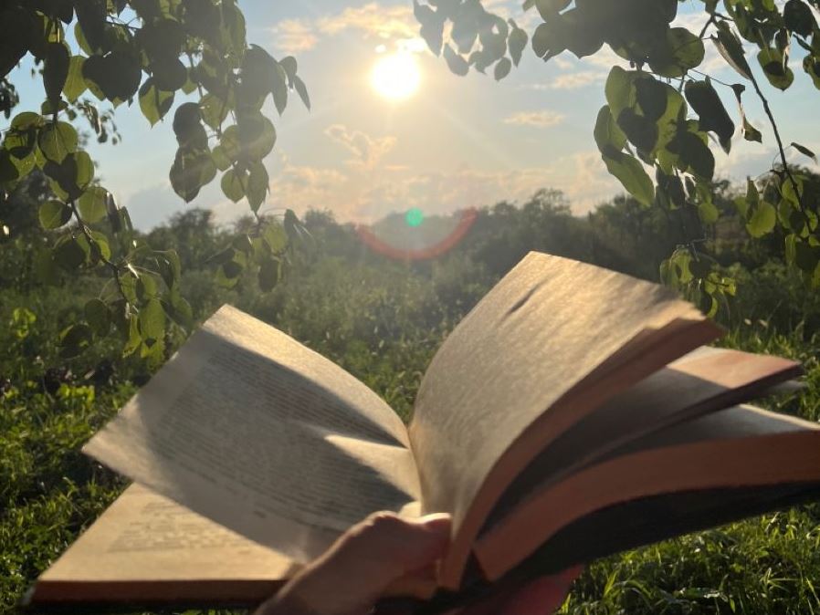 Прямые ультрафиолетовые лучи и способы защиты книг