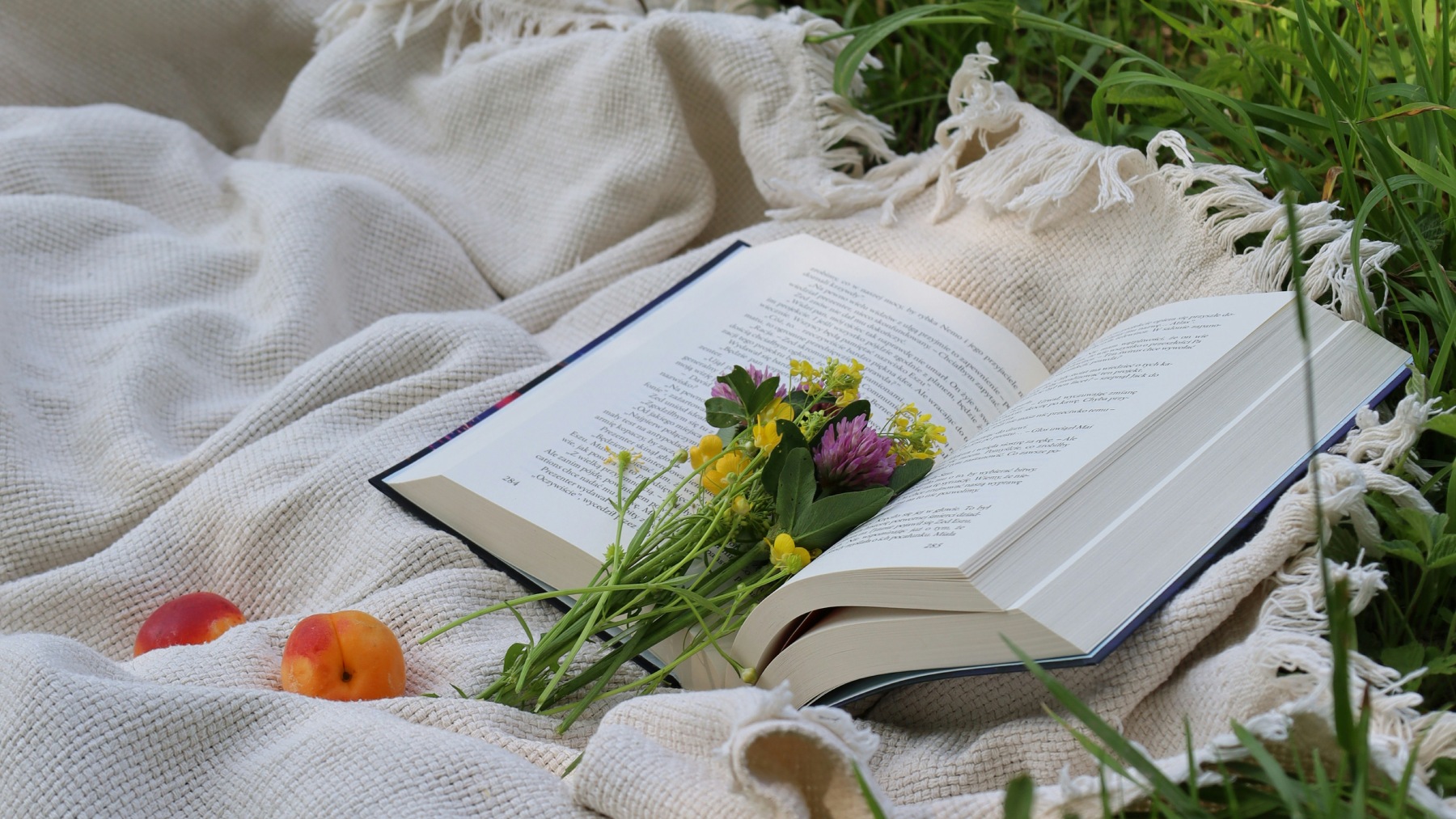 Книжные новинки осени пока остаются планами издательств